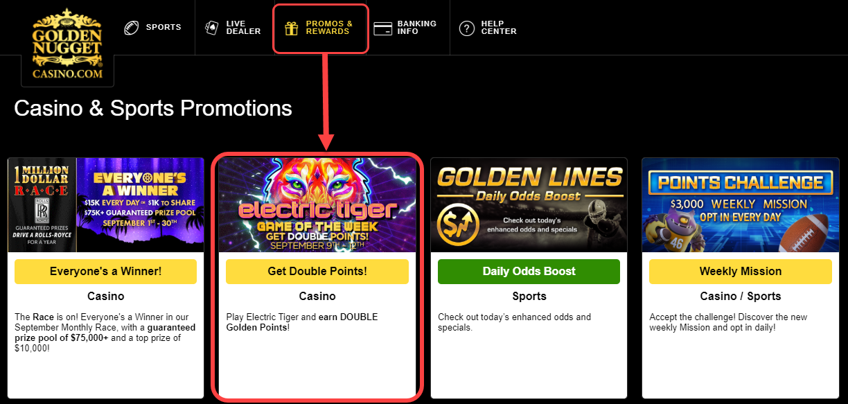 Casino Casino